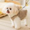 Autumn and winter ins wind dog clothes cute bear two-legged fleece thickened warm winter teddy pet clothes
