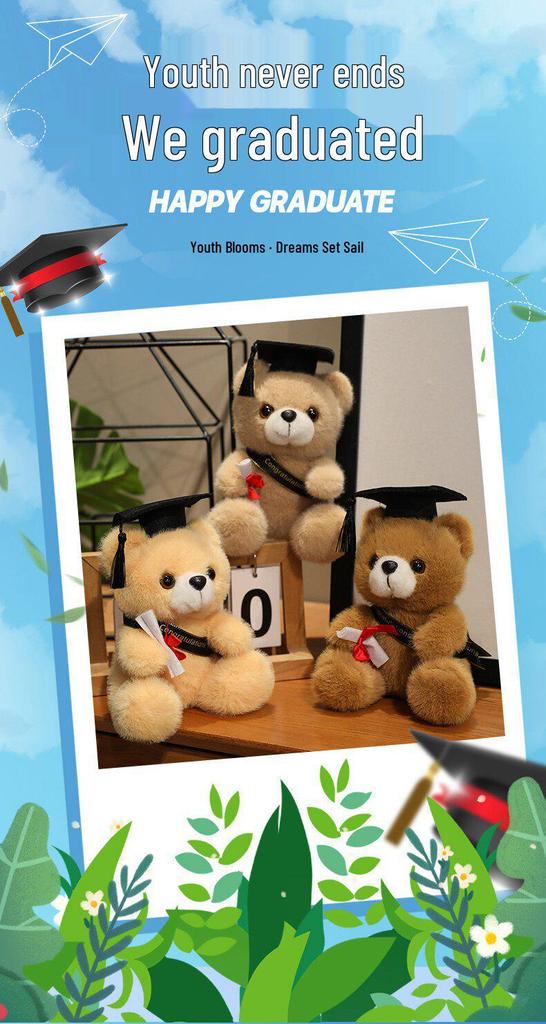 Graduation Gift Bear for Students: Doctoral, Master's, University, Kindergarten