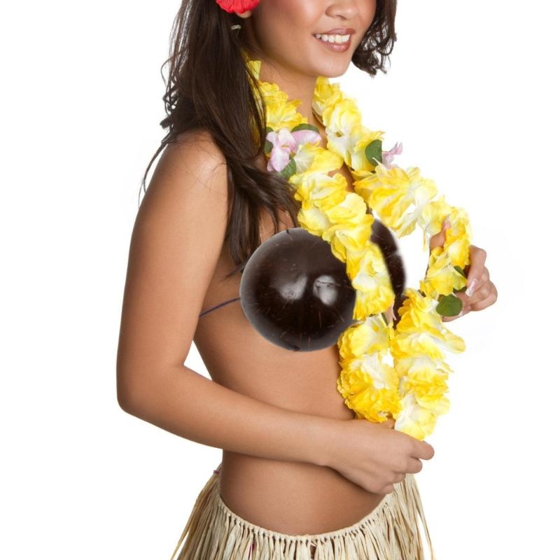 Natural Coconut Bra Novelty Coconut Bra Top Dance Costume, Comfortable to Wear For Women Hawaiian Party, Beach Parties