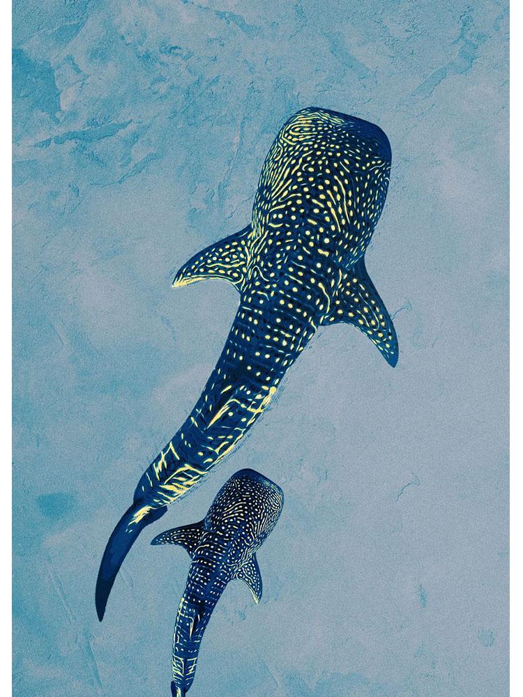 Obři severského oceánu Plakáty Žralok velryba Obraz Mořský život Nástěnná umělecká reprodukce do obývacího pokoje Domácí dekorace Cuadros