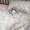 A-Grade Cotton Mother & Baby Four-Piece Double-Layer Gauze Bedding Set with Exquisite Lace Trim