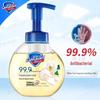 Safeguard White Tea Antibacterial Foaming Hand Wash