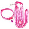 Set Guinzaglio e Collare per Gatti in 1 Pezzo con Ciondolo Zampa Carino - Collare Regolabile per Gattini Morbida Collana per Animali Domestici per Cani Piccoli Perfetto per Gattini Cuccioli