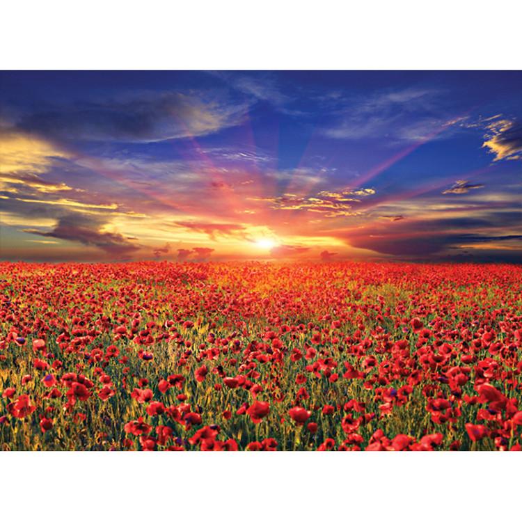 Пазл из 1000 деталей - чудесный закат над маковым полем (мини) — фото 2