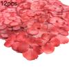 12Pcs Pressed Dried Epoxy Flower Plant Specimen Decor Resin Phone DIY