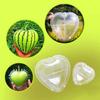  Heart-shaped Watermelon Shaping Growth Molds  Heart Fruit Mould