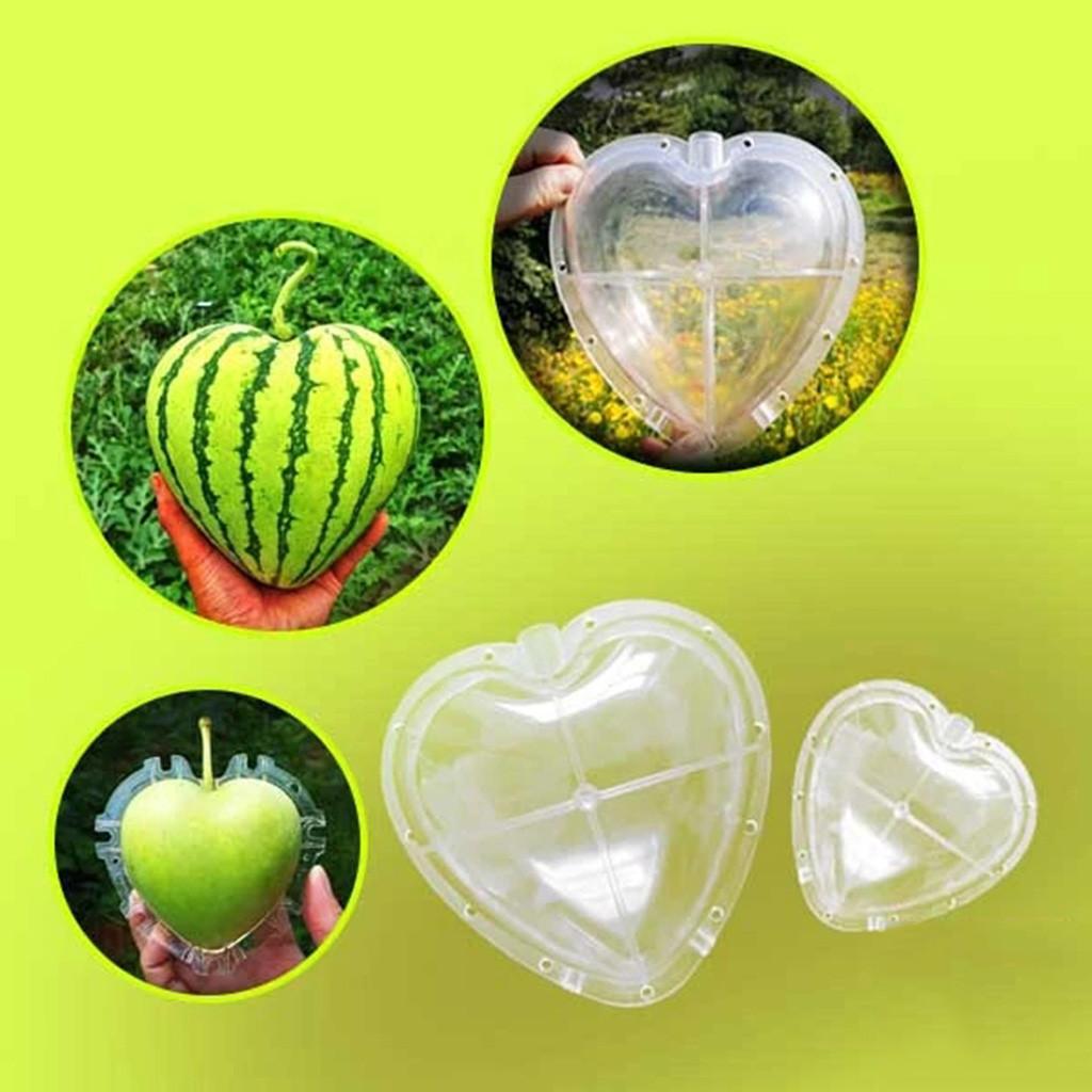 Heart-shaped Watermelon Shaping Growth Molds Heart Fruit Mould