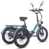 Elektrisches Lastenrad Fafrees F20 Mate 20" 500W Motor Straßenzulassung für Elektrofahrrad 48V 21AH 7 Gänge Max. Zuladung 180kg
