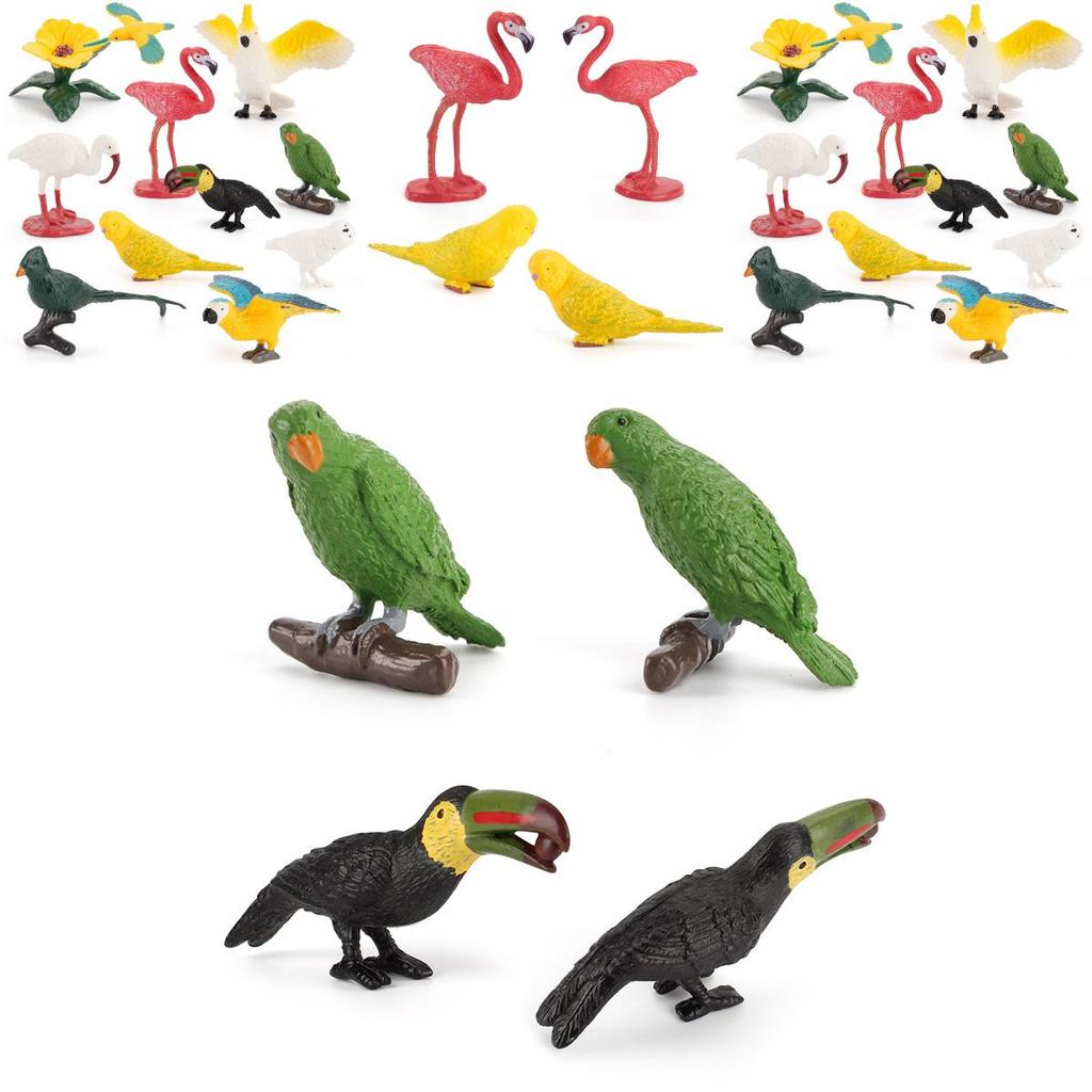 Small Hummingbird Animal Model Pvc Nature Scene Display For Childrens Classroom Use