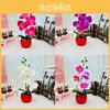 Phalaenopsis Artificial Decor With Highquality Materials For Gift And Event Use