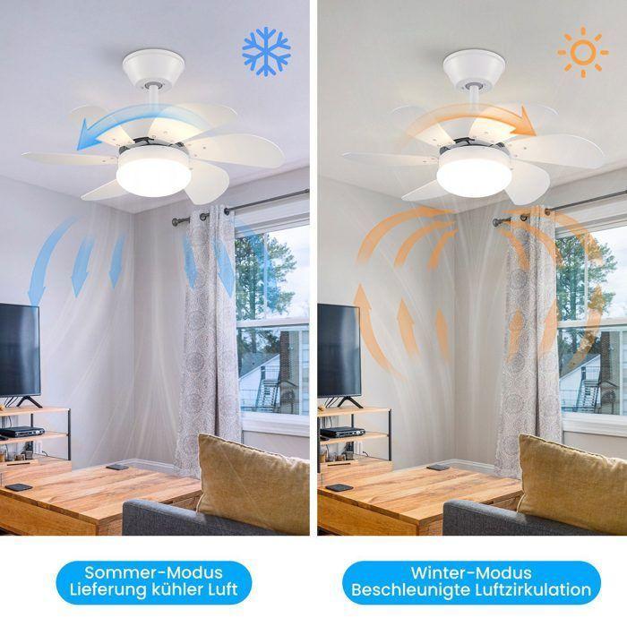 Ventilateur de plafond silencieux NETTLIFE avec douille E27 – 6 pales, 75 cm, avec minuterie, pour l'hiver et l'été