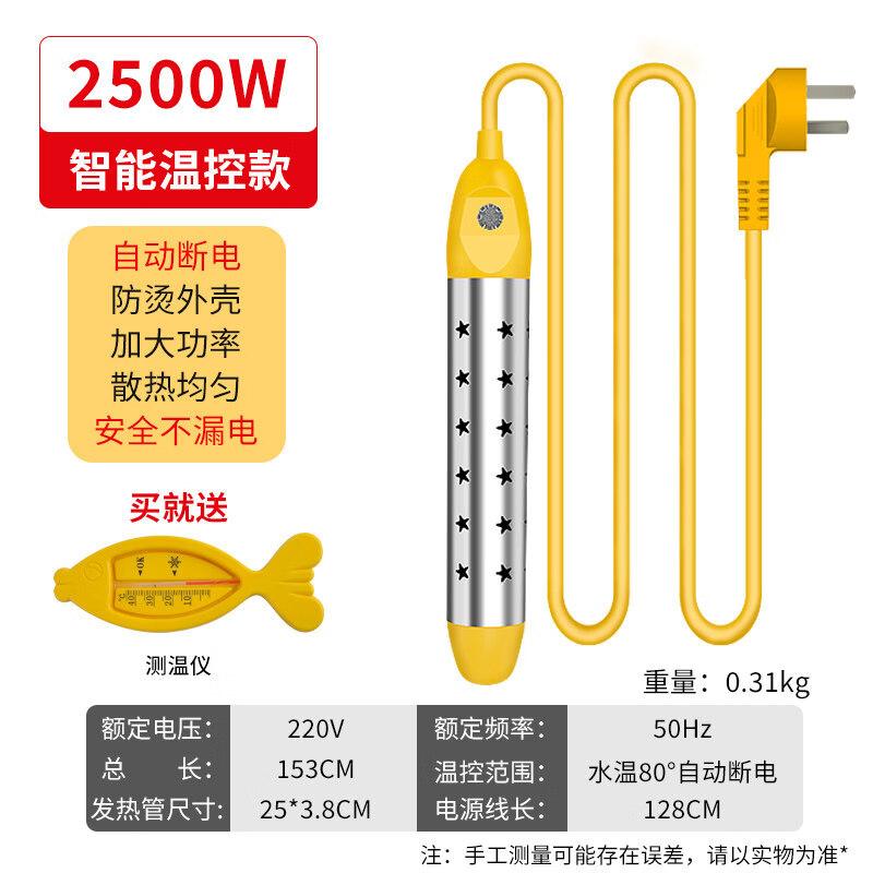 2500W Portable Electric Immersion Water Heater