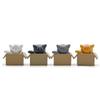 DIY Miniatures Kitten Ornament Cartoon Crafts Poor Box Cat Kitty Model Small Statue Car Figurine