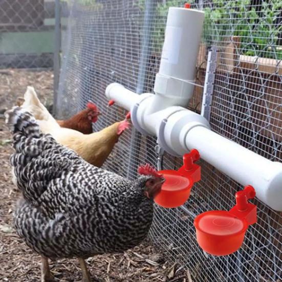 16 Pcs Automatic Chicken Water Cup Plastic Chicken Watering System Poultry Water Feeder Cup for Chicken Duck Goose Turkey