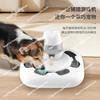 Pet Toy Leak, Maze Toy Training Cat Predation Anti-choking Slow Food Bowl Dog Charging Predation Toy