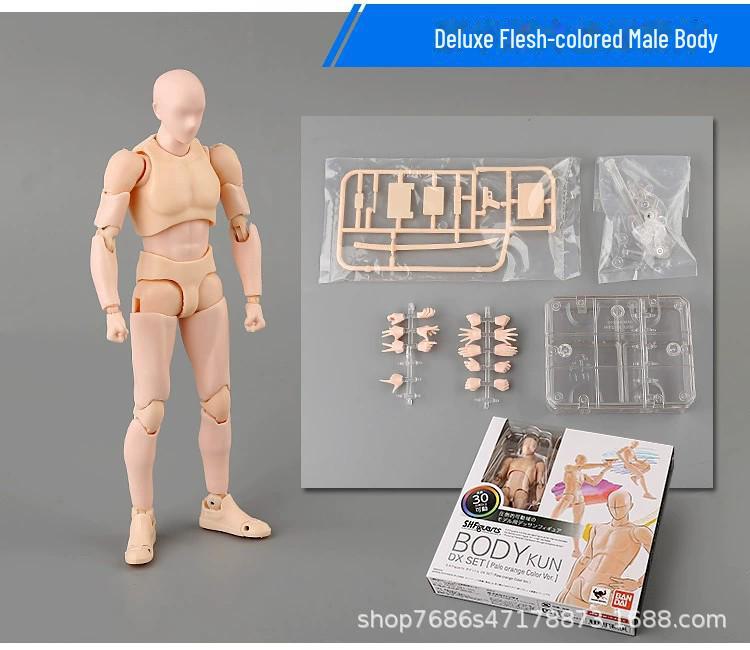 

Арт-комикс Модель руки человека для эскизов, рисования и справки - Мужская и женская шарнирная подвижная кукла SHF deluxe male