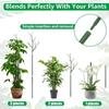 3/24PCS Twig Plant Support Brackets Stackable Green Plants Growth Stakes Detachable Monstera Climbing Stakes for Indoor Outdoor