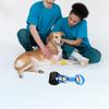 Cães – Cuidados de cães