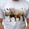 Rhino White Kids Boys T-Shirt Animal Rhinoceros Tee Top Design - S S Kids Baby