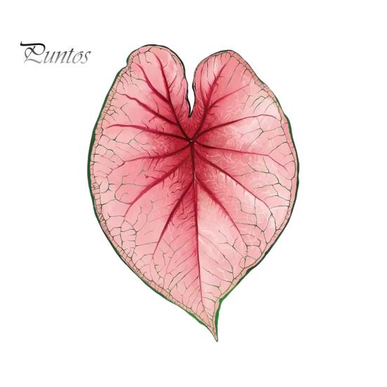 Tropical Plant Refrigerator Magnets 3D Plants Magnet, Acrylic Green Decorative Fridge Home Decor Memo Notes Photo Holder for Kitchen Office