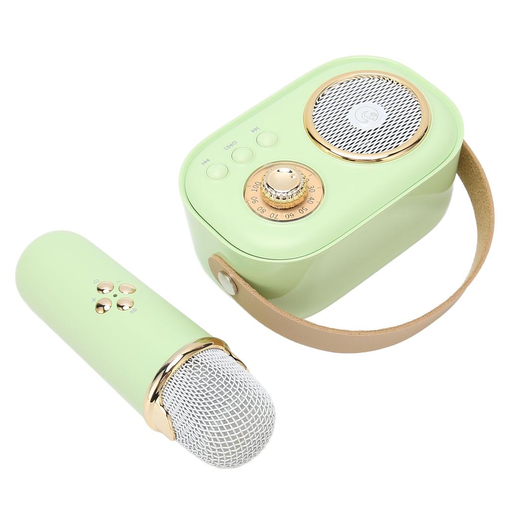 Wireless Bluetooth Speaker with Microphone Portable Rechargeable Mini Mics Speaker Set for Home