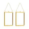 2Pcs Square Metal Glass Photo Frame Wall Hanging Dried Flower Display Holder Case For Pressed Flower and Home Decoration