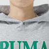 Puma Buchstabenaufdruck Kapuzenpullover Lässig Langarm Sweatshirt Unisex Sweatshirt Grau 682921-04