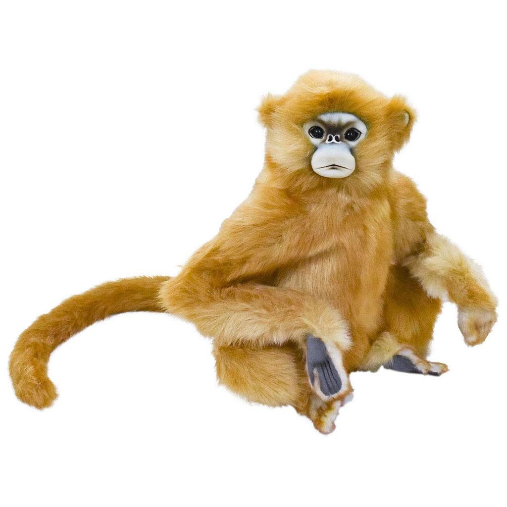BH6766 HANSA Snub-nosed Monkey 47