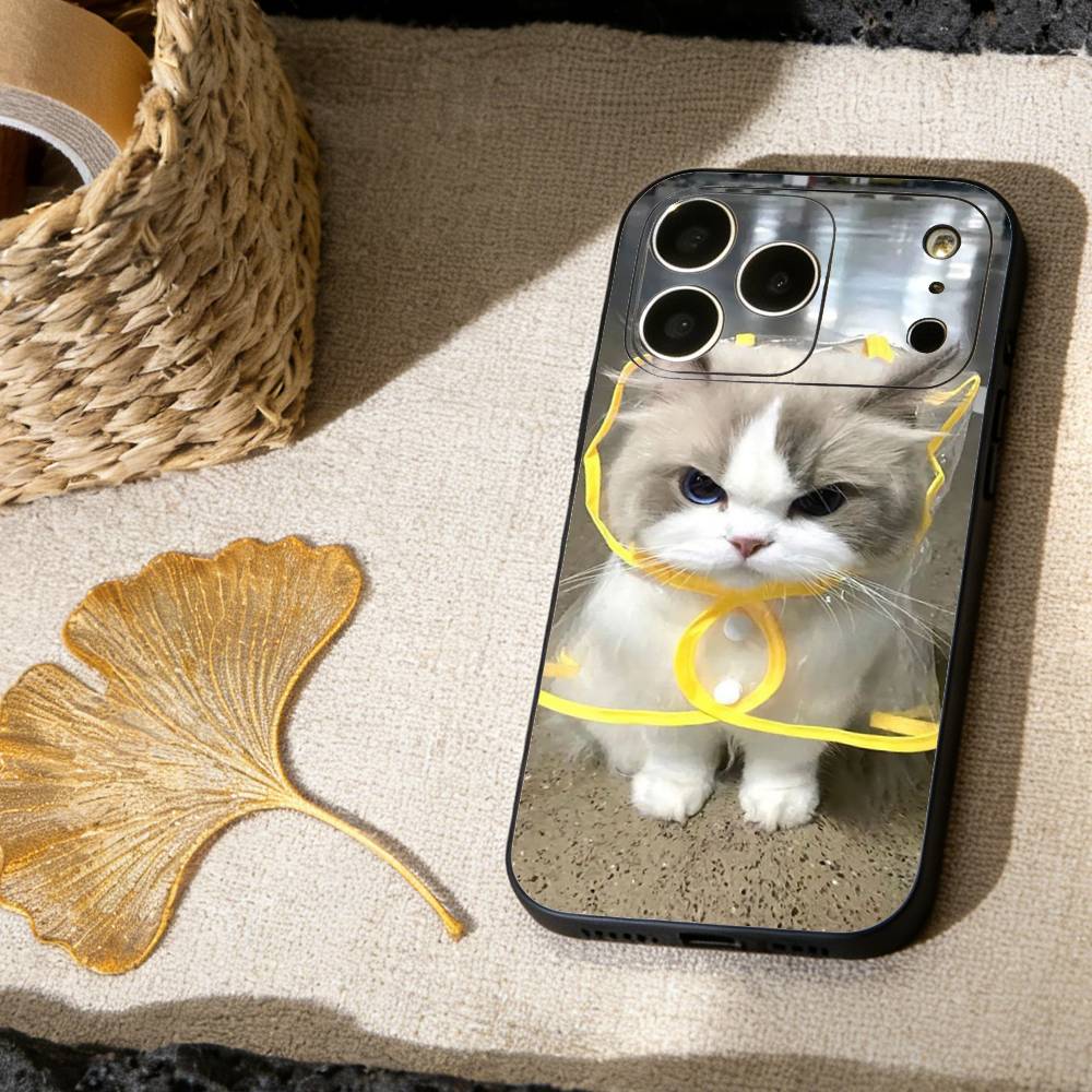 Funny Of Pet Cats  Phone Case For iPhone 17, 16,15,14,13,12,11 X XR Plus,Others Soft Black Cover