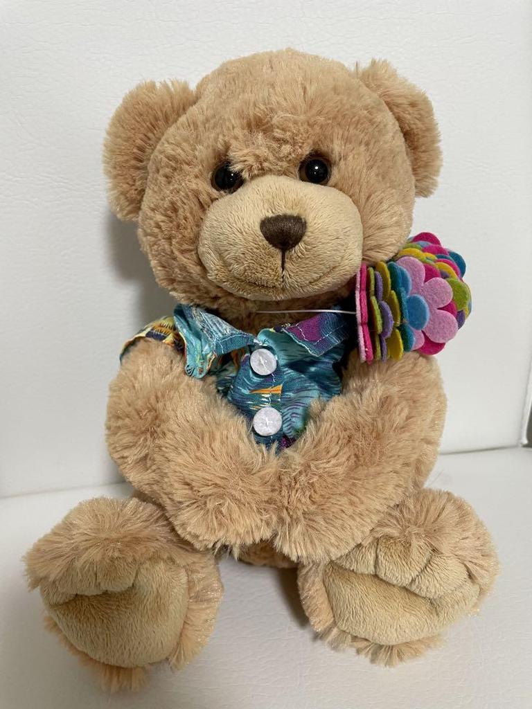 [USED] Stuffed Teddy Bear