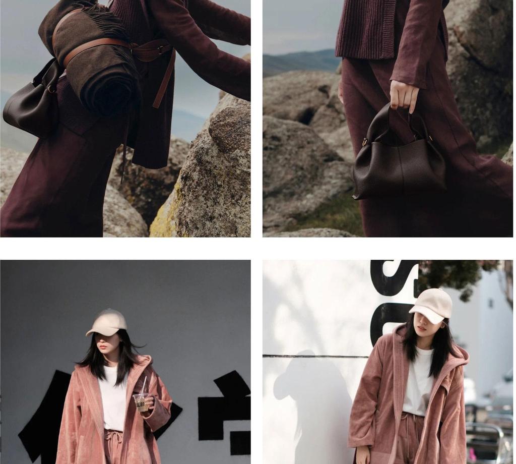 Polene Cloud Bag Dumpling: Genuine Leather Single Shoulder Crossbody Handbag. In Stock.