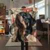 Rottweiler and Grass,pattern Flannel Blanket, High quality Comfortable for All Seasons, Home Decor, Warmth and Comfort, Perfect for Gifts.