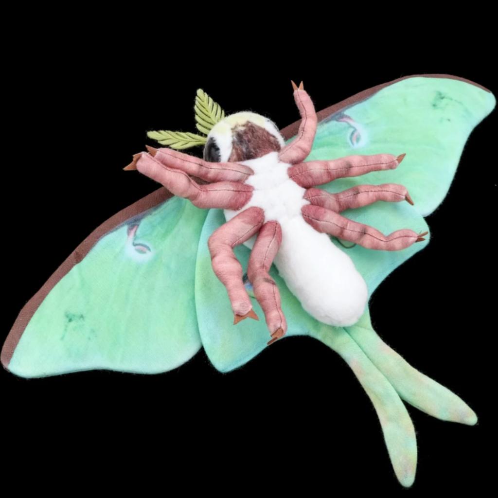 Beautiful Insect Plush Toys Rosy Maple Moth Plush And Luna Moth Plush Birthday Gift For Insect Enthusiast Kids Moth Toys