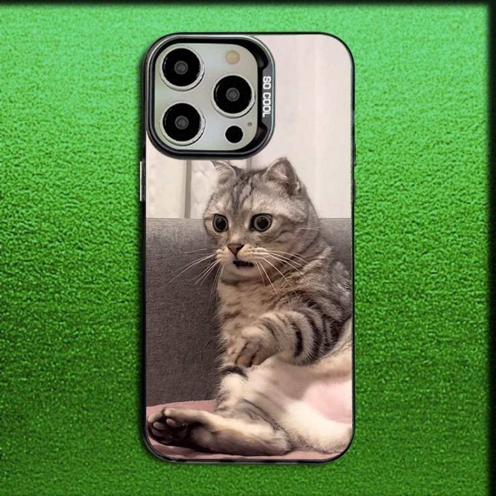

Cute Pet Cat Funny Meme Phone Case For iPhone 16,15,14,13,12,11,Mini,Pro,MAX Gray Matte Silicone Black Cover iPhone13mini