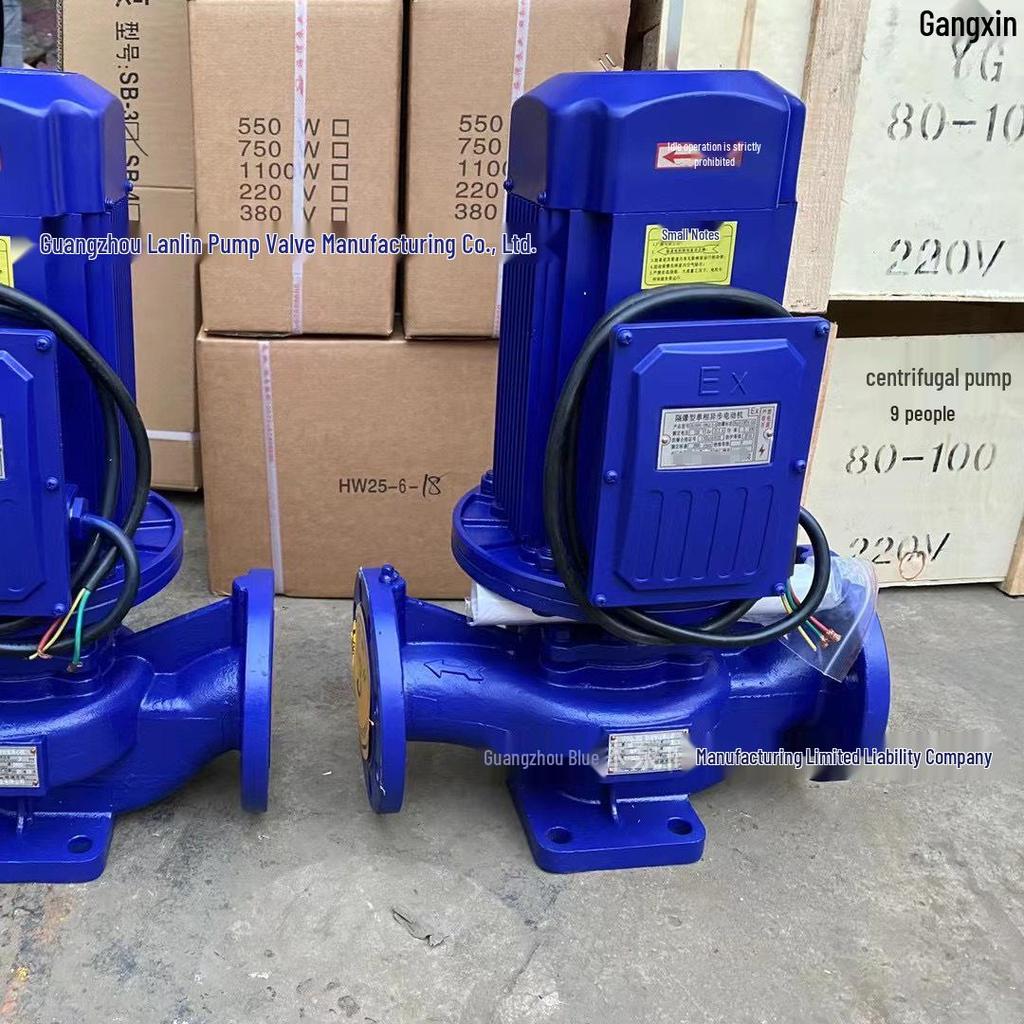Single-phase Explosion-proof Vertical Pipeline Pump, 220V, Stainless Steel 304, for Gasoline and Diesel Transfer.
