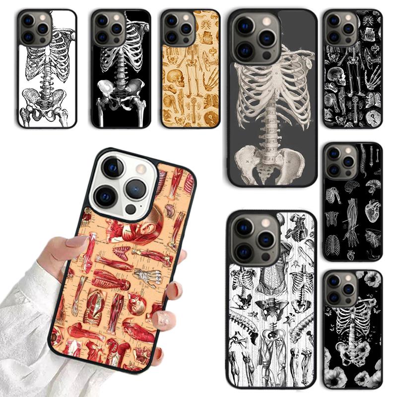 Medical Skeleton Anatomy Phone Case For iPhone 17 Air 14 13 12 16Pro Max 15 11 Plus Cover Shell Max coque