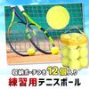 MulaF Practice Tennis Independent Club Tennis 12 Case Included Balls, Training, Beginners, Activities, School, Outdoor, Elastic, Pieces,
