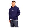 Jack & Jones Vesterbro Hoodie