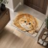 Diatomite Entryway Rug Non-slip Pet Floor Mat Cute Cat Print Doormat  Household