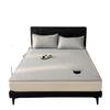 Cooling Mattress Summer Ice Silk Air-Conditioned Soft Mat Washable Foldable Embroidered Single Bed Mattress For Ultimate Comfort