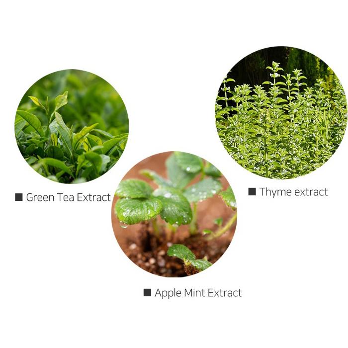 Codenature Viami Tone Up Shield Cream SPF50+ PA++++ (30 ml 1,01 fl oz) opalovací krém a tónovací krém