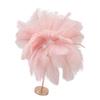 Ostrich Feather Table Lamp Rechargeable Modern Romantic Decoration Lamp Bedroom Bedside Lamp for Home Decoration