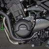 Z900RS Engine Protection For KAWASAKI Z900RS & Z900RS SE Engine Cover Motorcycle Protection Covers Protective Case Set 2018-2023