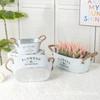 Retro White Iron Flower Pot Pastoral Style Drought-Resistant Oval Succulent Planter Water-Saving Balcony Potted Plant Container