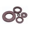 Fluororubber High-Temperature Oil Seal