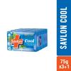 Savlon Cool Soap With Menthol And Glycerin 75gx4 Refreshing Bath Bar For Men And Women