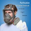 6800 Vollgesichtsmaske aus Silikon: Schutz vor Gasen, Staub, Chemikalien, Sprühfarben, Pestiziden, Schweißen und Brandschutz