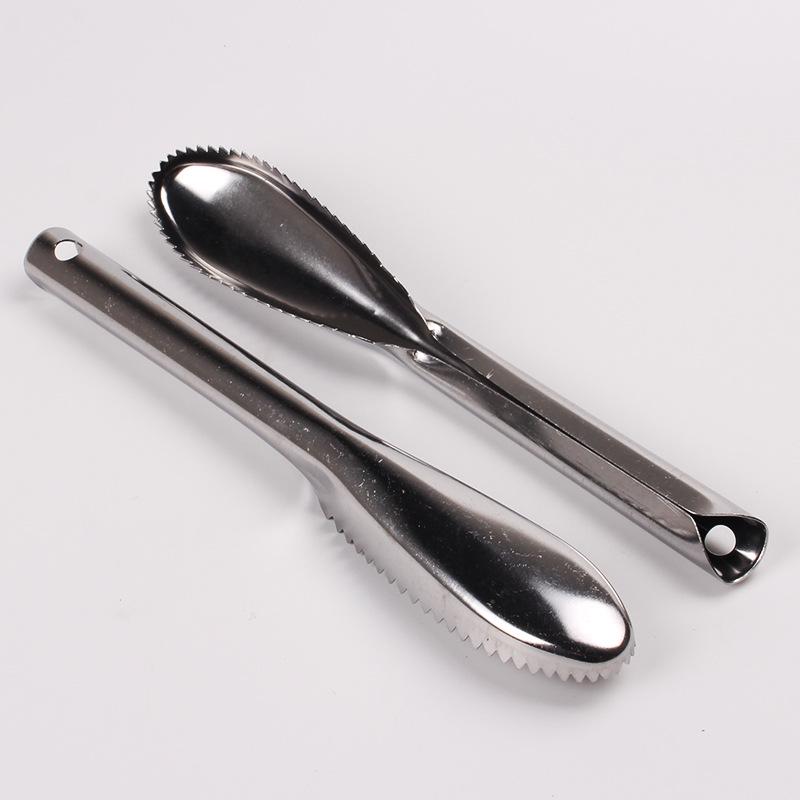 Stainless Steel Fish Scale Scraper & Brush - Kitchen Gadget