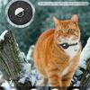 Collare regolabile per gatti per AirTag Collare riflettente per gattini con custodia protettiva per AirTag Cani Gatti Collare Localizzatore GPS Articoli per animali domestici