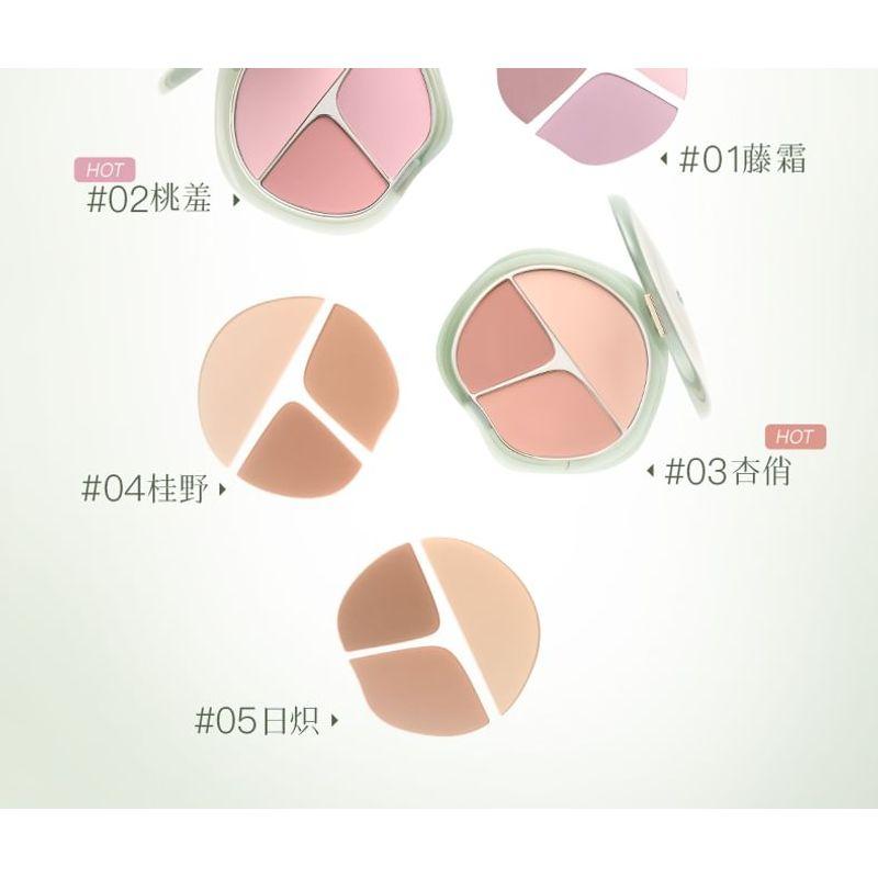 TIMAGE - Lebendige und Fließende Jade Rouge Rougepalette
